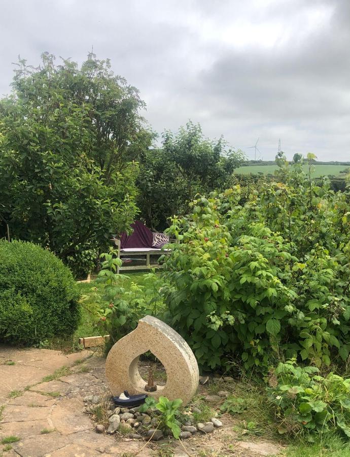Little Valley View Otterham Exterior foto
